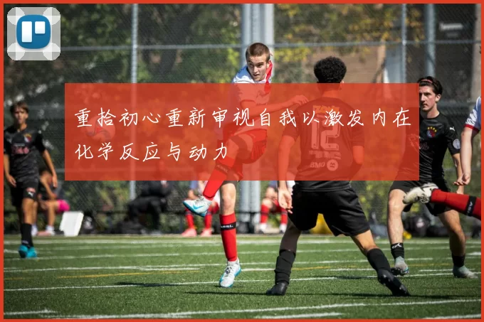 重拾初心重新审视自我以激发内在化学反应与动力