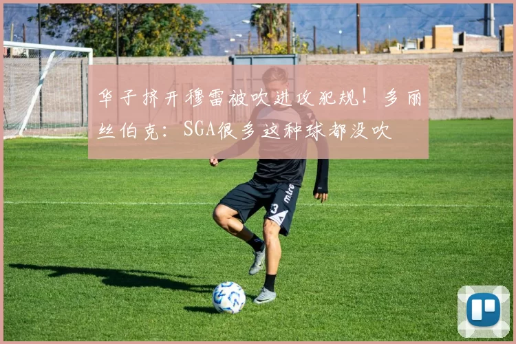 华子挤开穆雷被吹进攻犯规！多丽丝伯克：SGA很多这种球都没吹