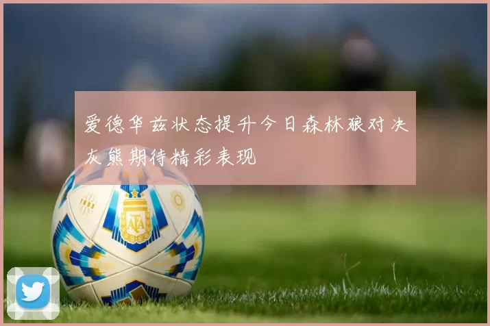 爱德华兹状态提升今日森林狼对决灰熊期待精彩表现